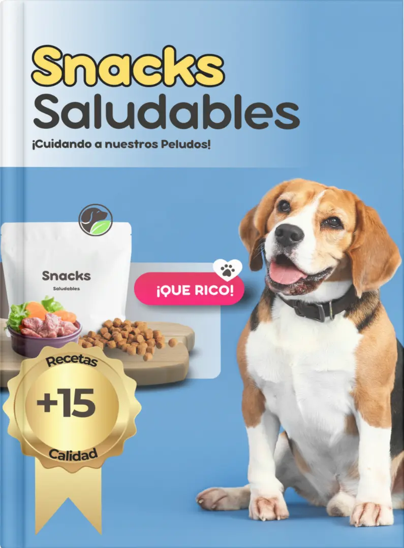Snacks Saludables